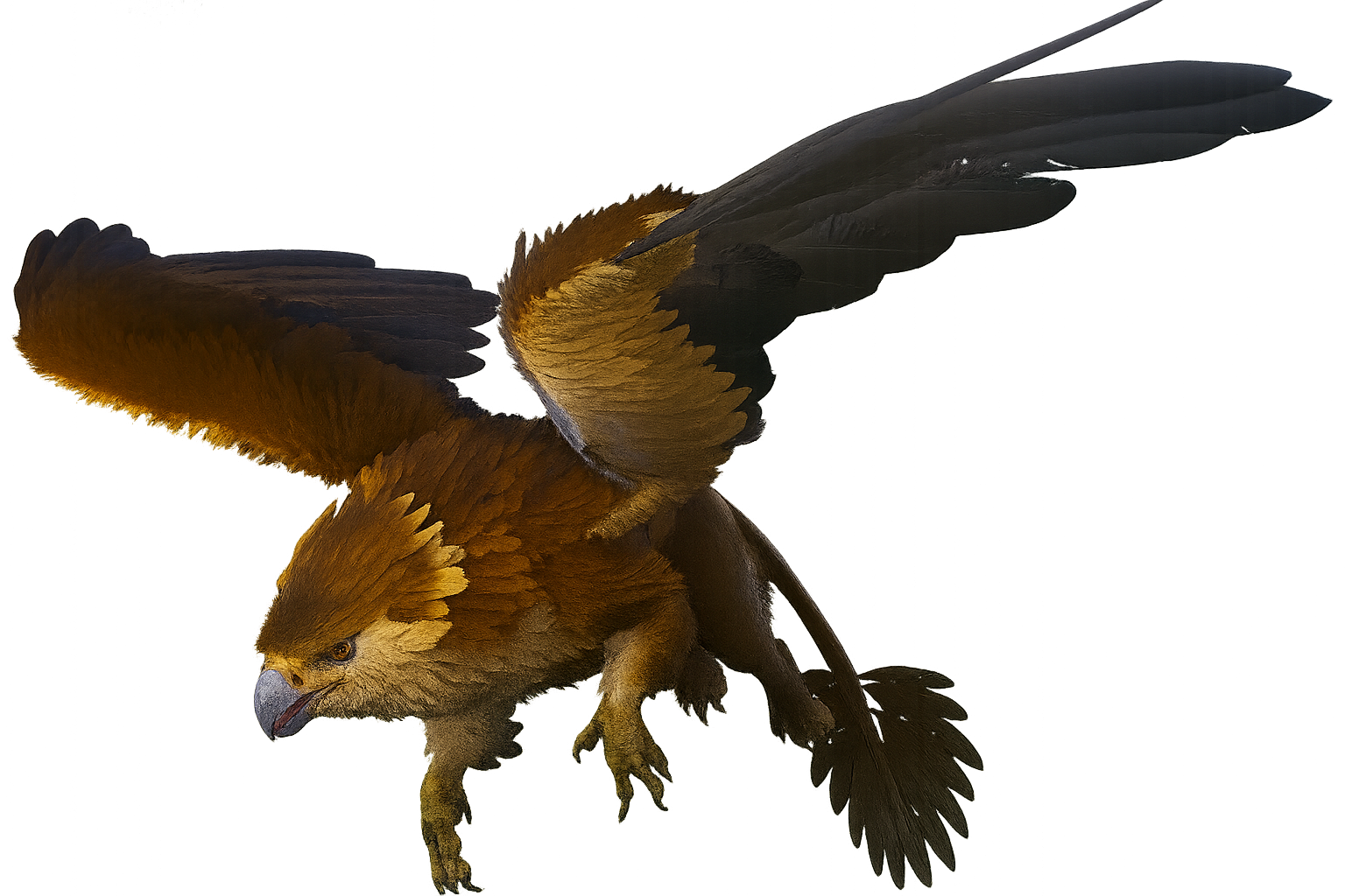 ArkSurvivalEvolvedŞahin